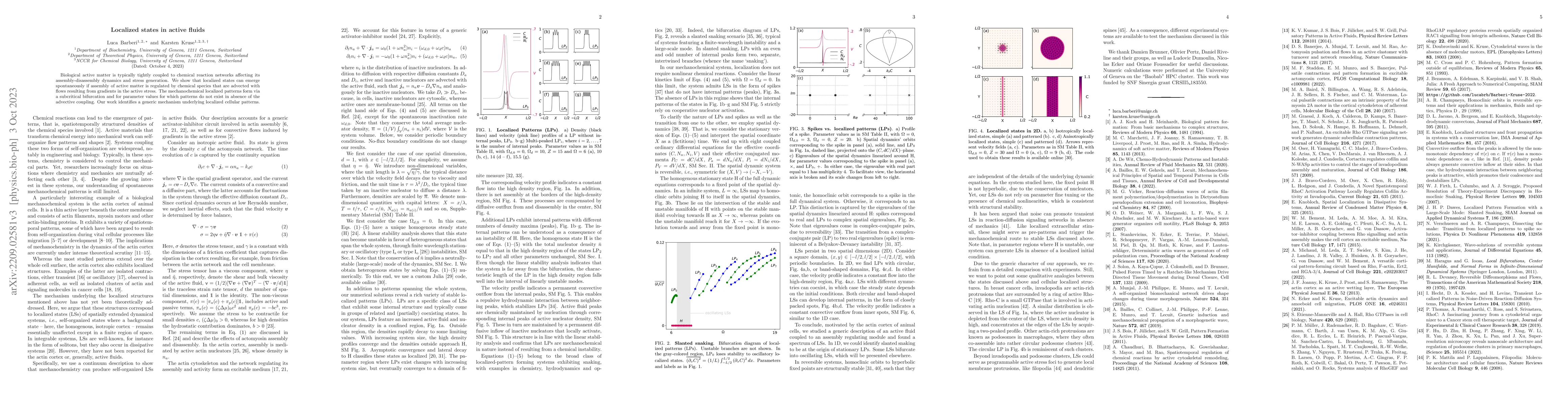 Thumbnail for Localized states in active fluids