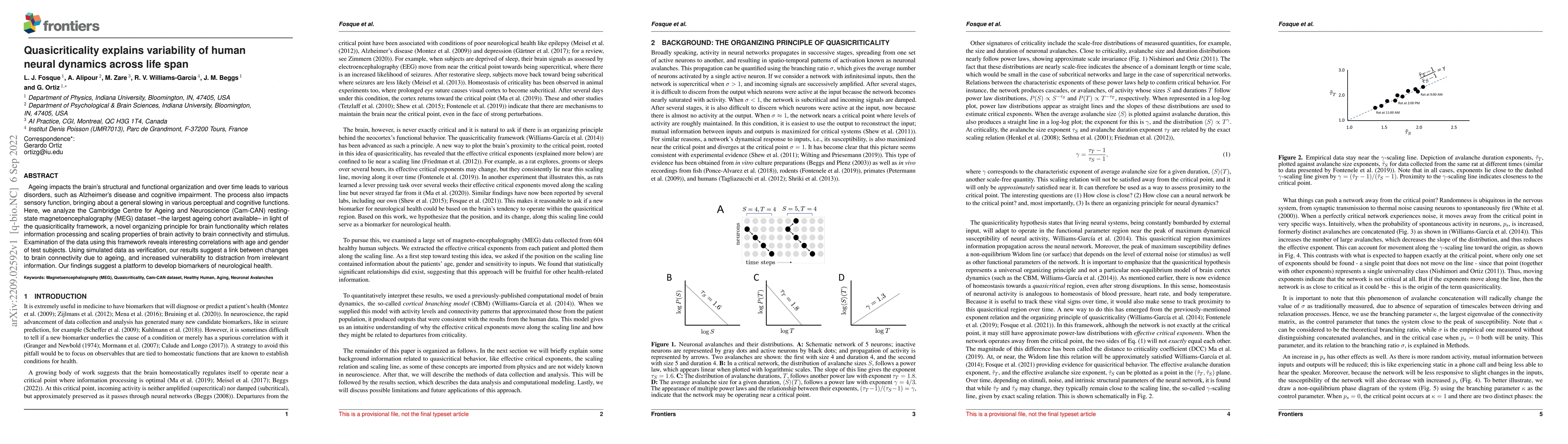 Thumbnail for Quasicriticality explains variability of human neural dynamics across
  life span
