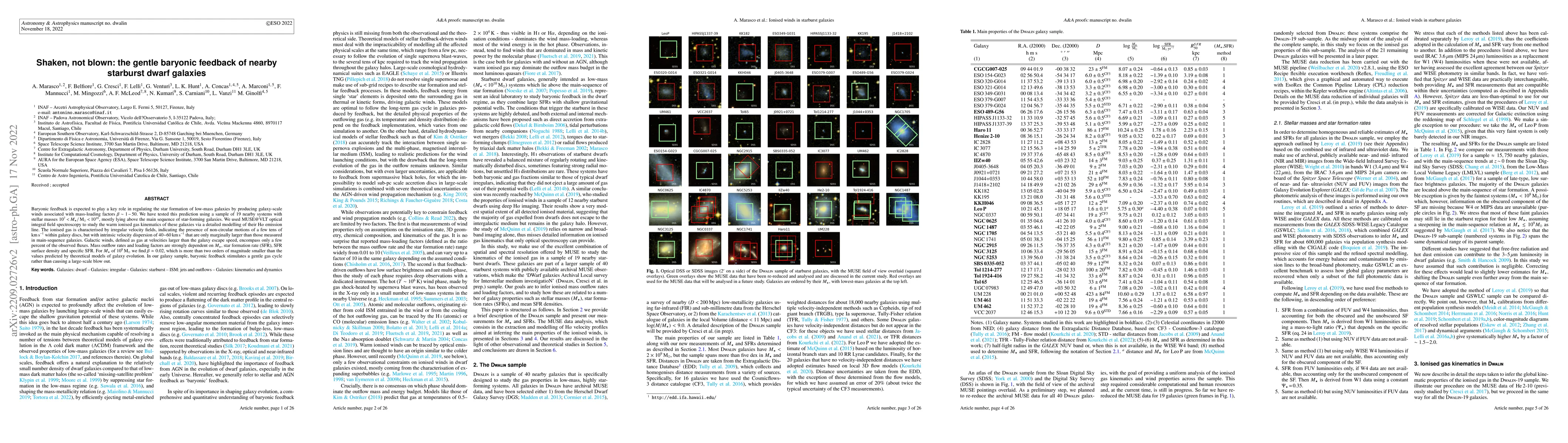 Thumbnail for Shaken, not blown: the gentle baryonic feedback of nearby starburst
  dwarf galaxies