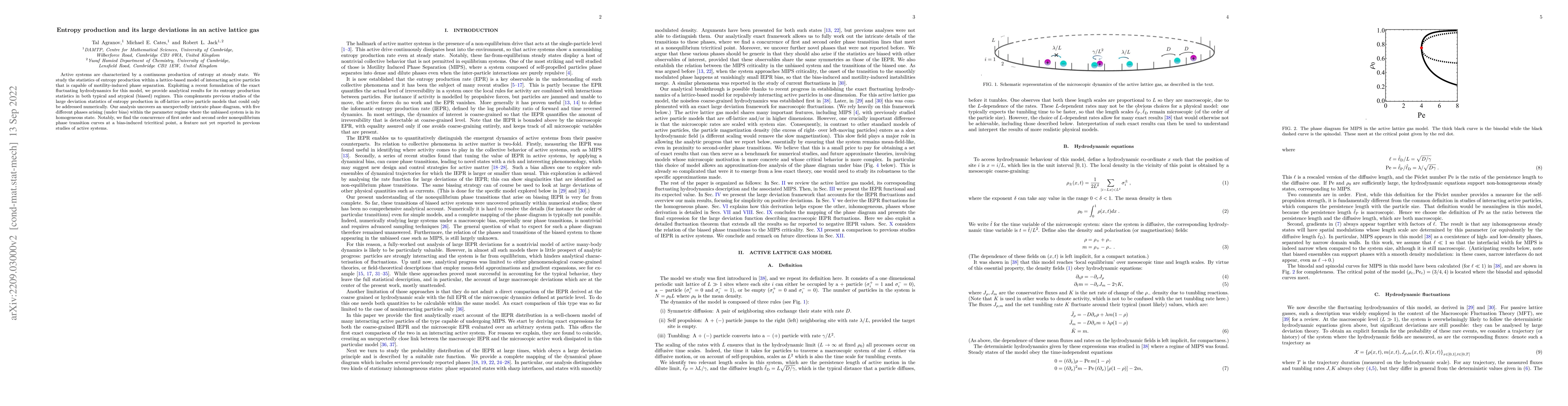 Thumbnail for Entropy production and its large deviations in an active lattice gas