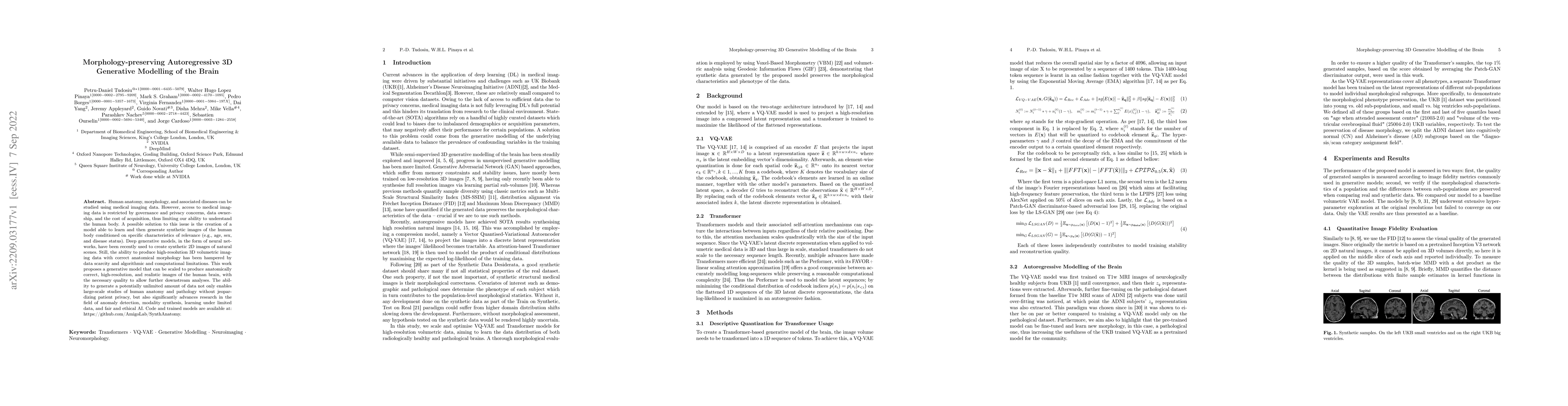 Thumbnail for Morphology-preserving Autoregressive 3D Generative Modelling of the
  Brain