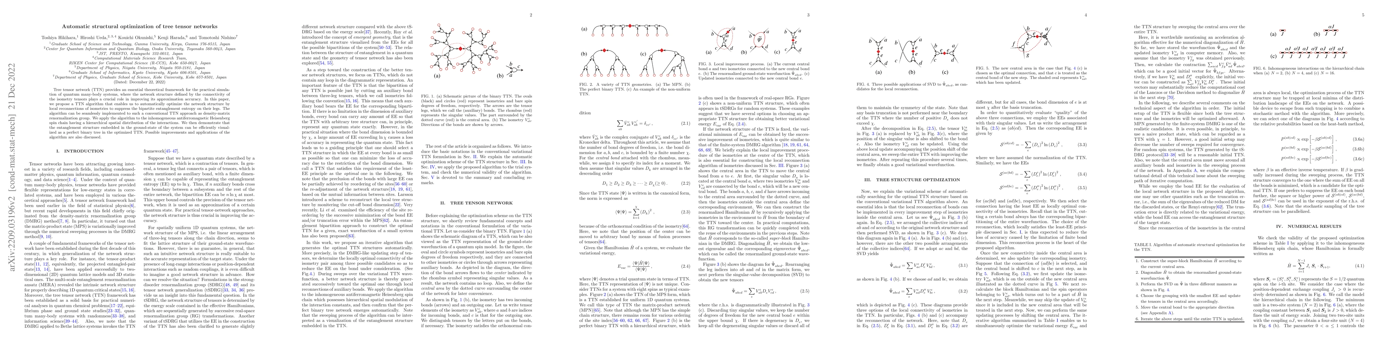 Thumbnail for Automatic structural optimization of tree tensor networks