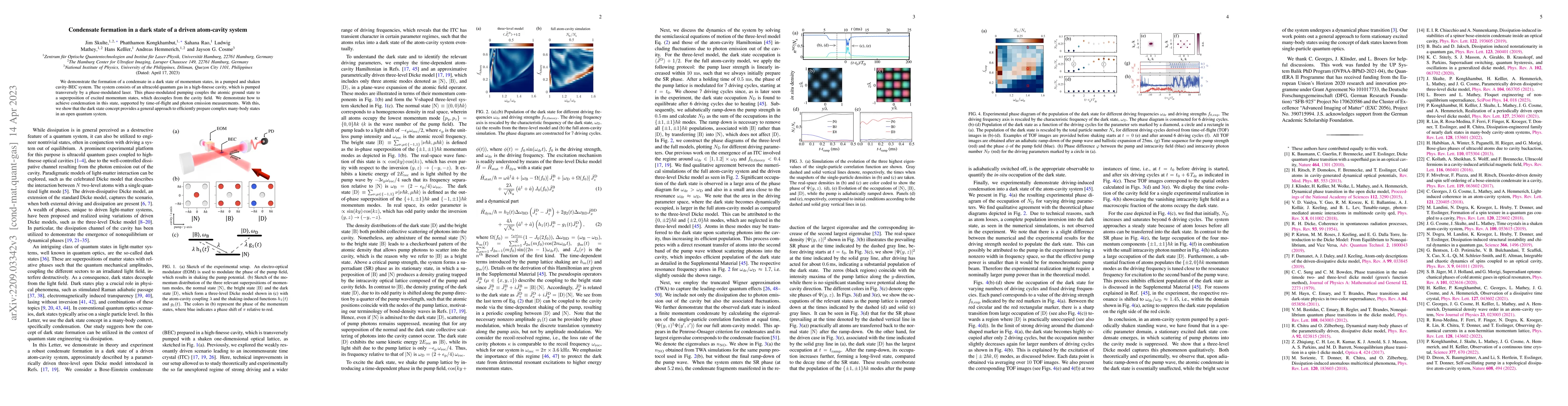 Thumbnail for Condensate formation in a dark state of a driven atom-cavity system