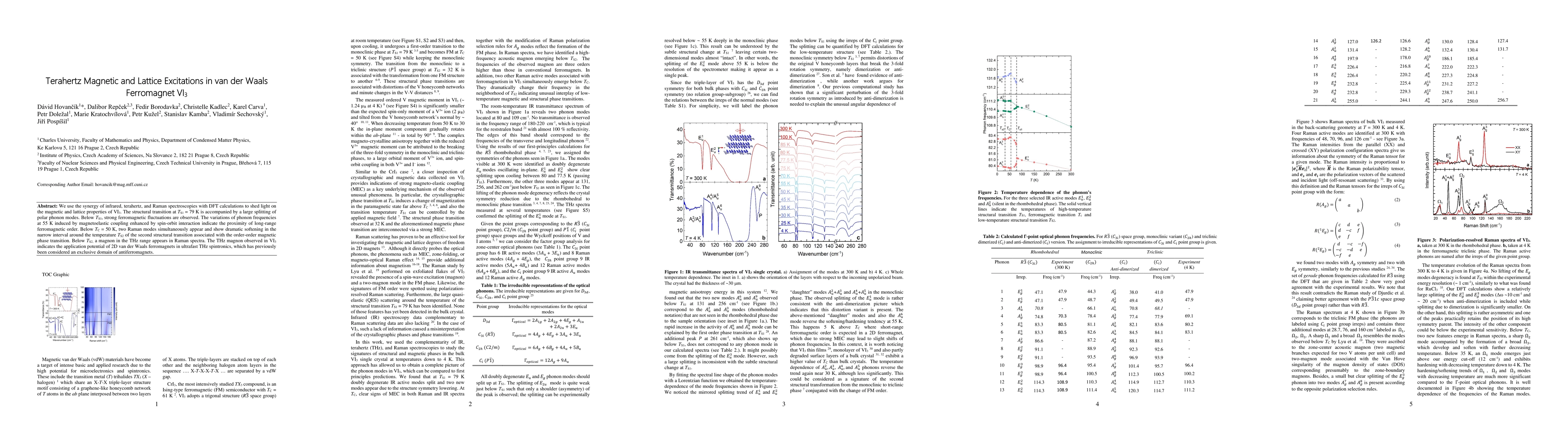 Thumbnail for Terahertz Magnetic and Lattice Excitations in van der Waals Ferromagnet
  VI3