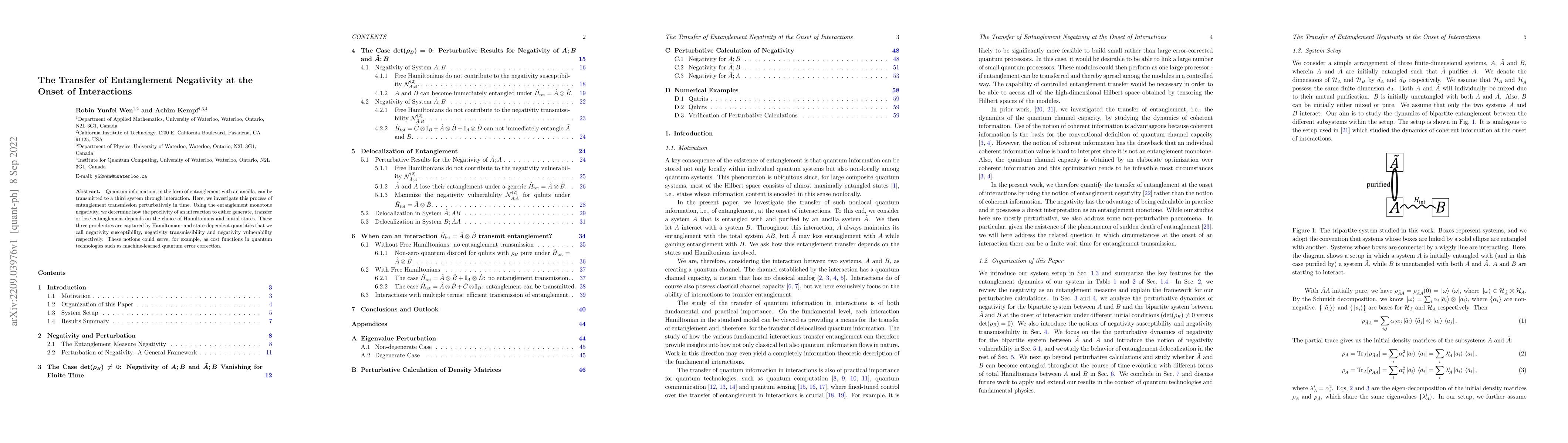 Thumbnail for The Transfer of Entanglement Negativity at the Onset of Interactions