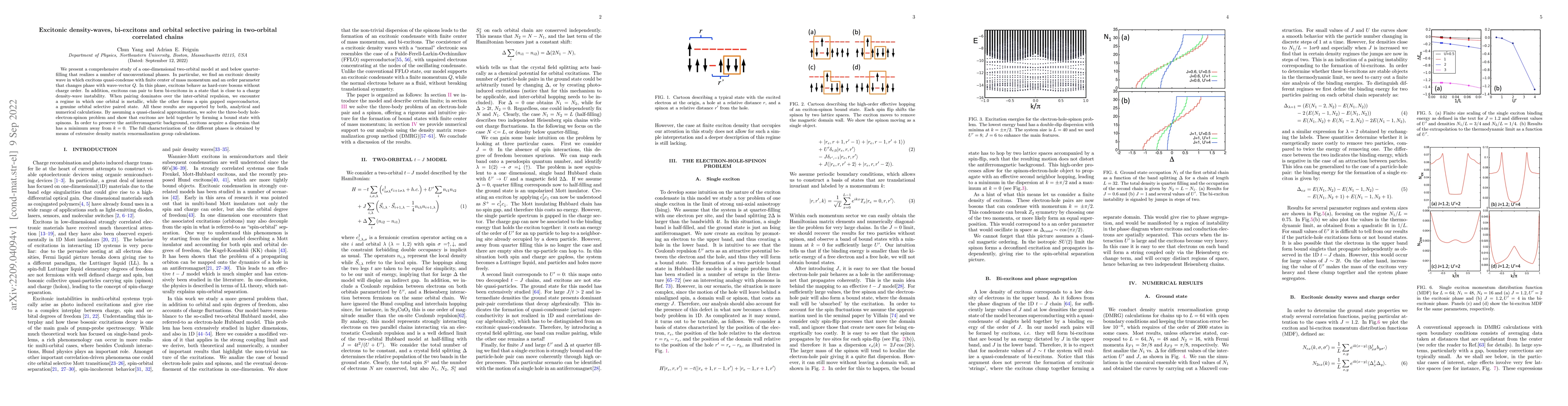 Thumbnail for Excitonic density-waves, bi-excitons and orbital selective pairing in
  two-orbital correlated chains