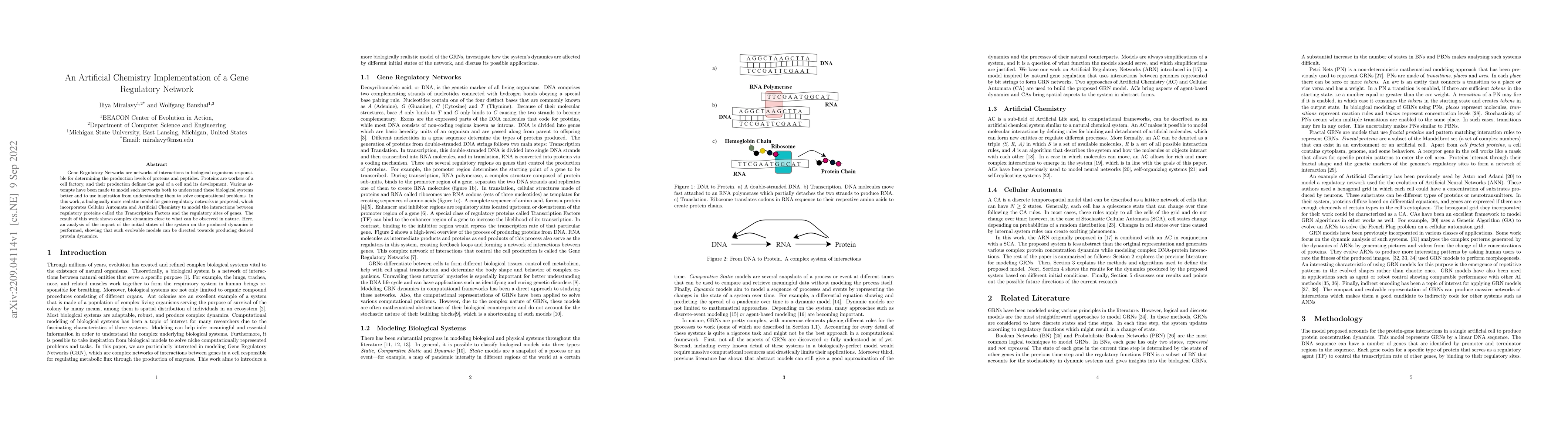 Thumbnail for An Artificial Chemistry Implementation of a Gene Regulatory Network