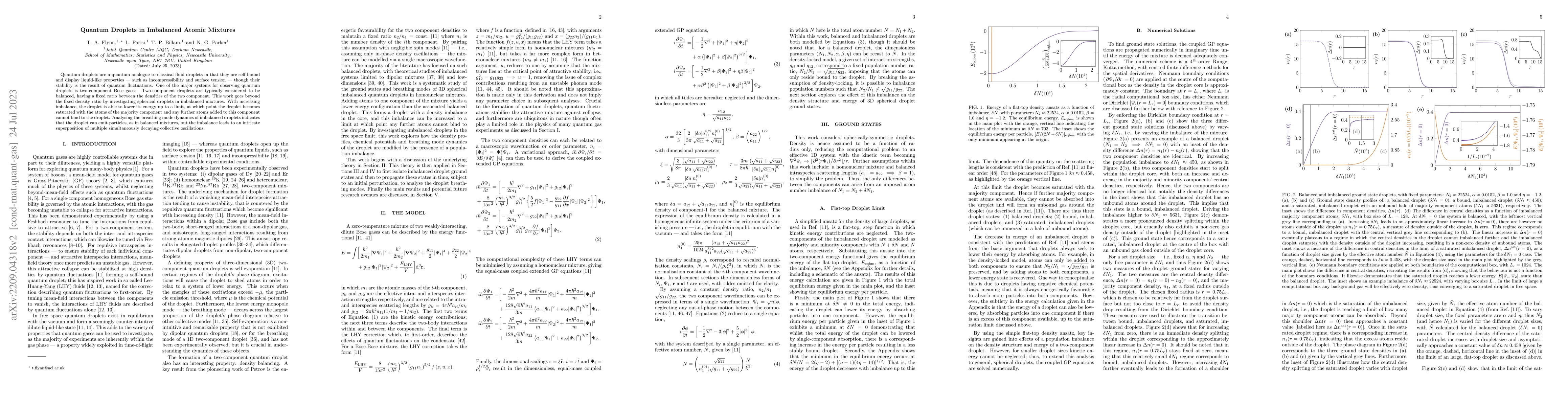 Thumbnail for Quantum Droplets in Imbalanced Atomic Mixtures