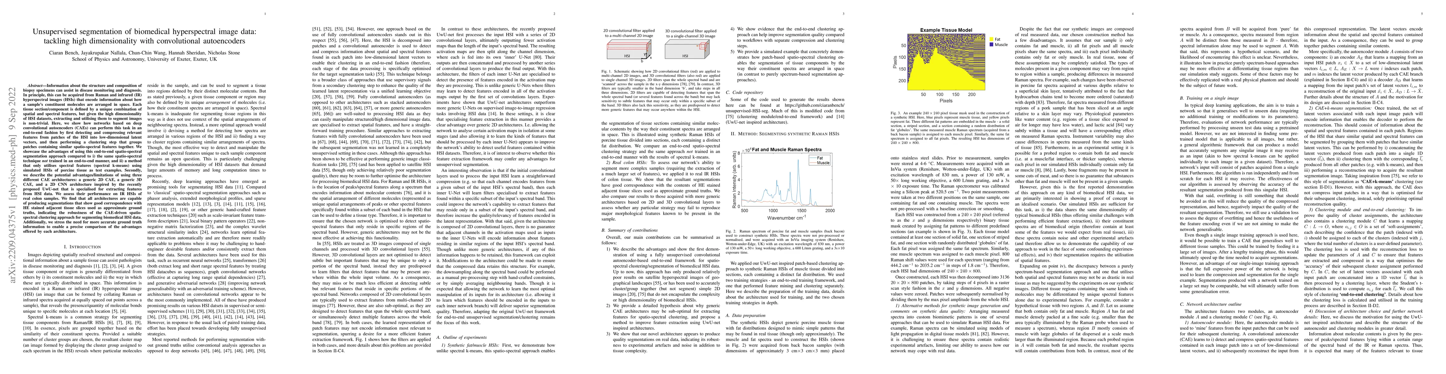Thumbnail for Unsupervised segmentation of biomedical hyperspectral image data:
  tackling high dimensionality with convolutional autoencoders
