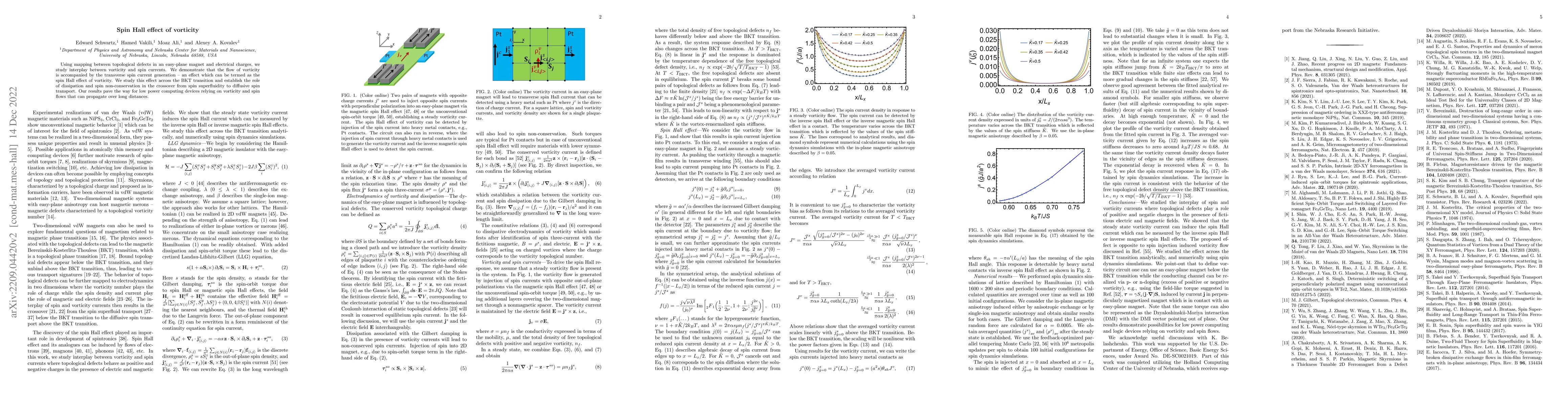 Thumbnail for Spin Hall effect of vorticity