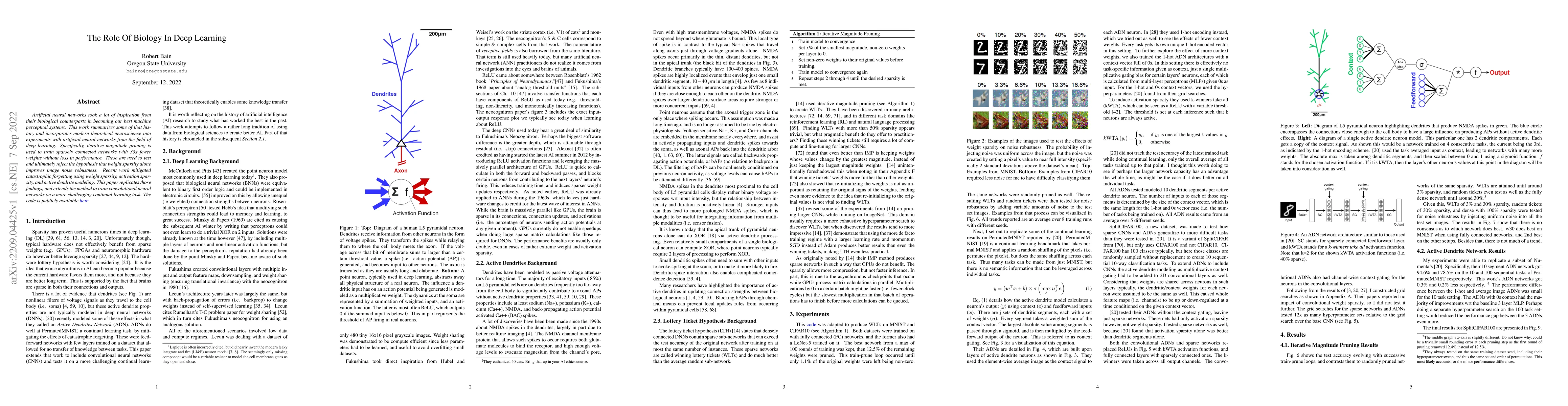 Thumbnail for The Role Of Biology In Deep Learning