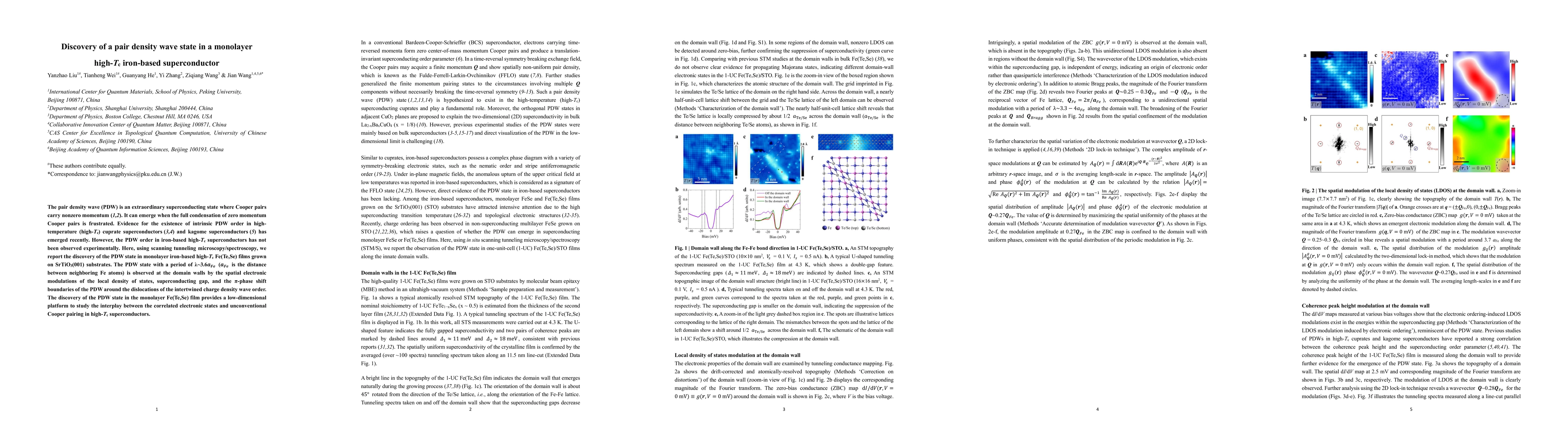 Thumbnail for Discovery of a pair density wave state in a monolayer high-Tc iron-based
  superconductor