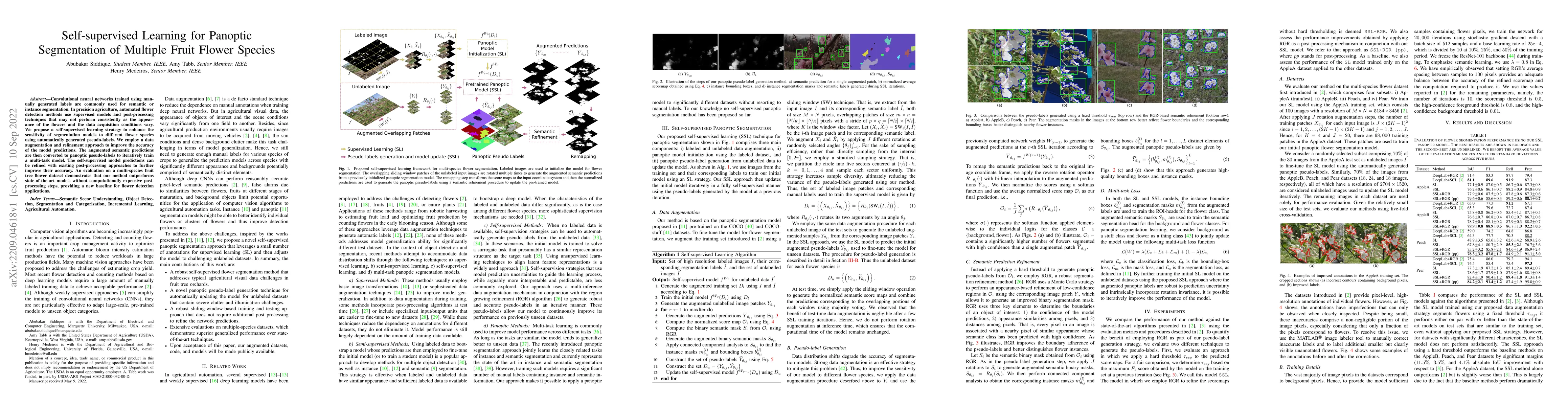 Thumbnail for Self-supervised Learning for Panoptic Segmentation of Multiple Fruit
  Flower Species