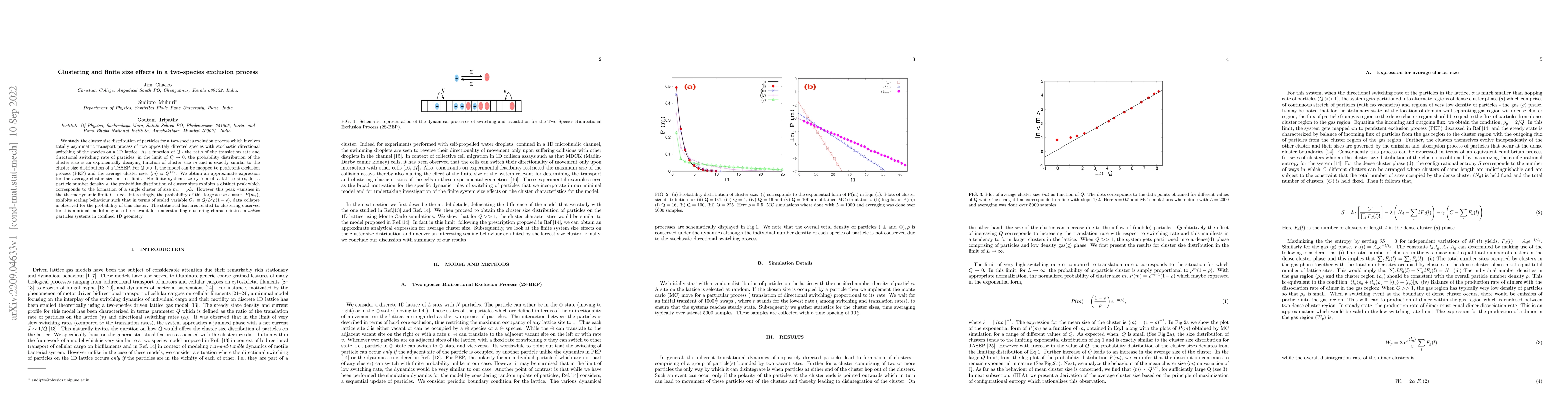 Thumbnail for Clustering and finite size effects in a two-species exclusion process