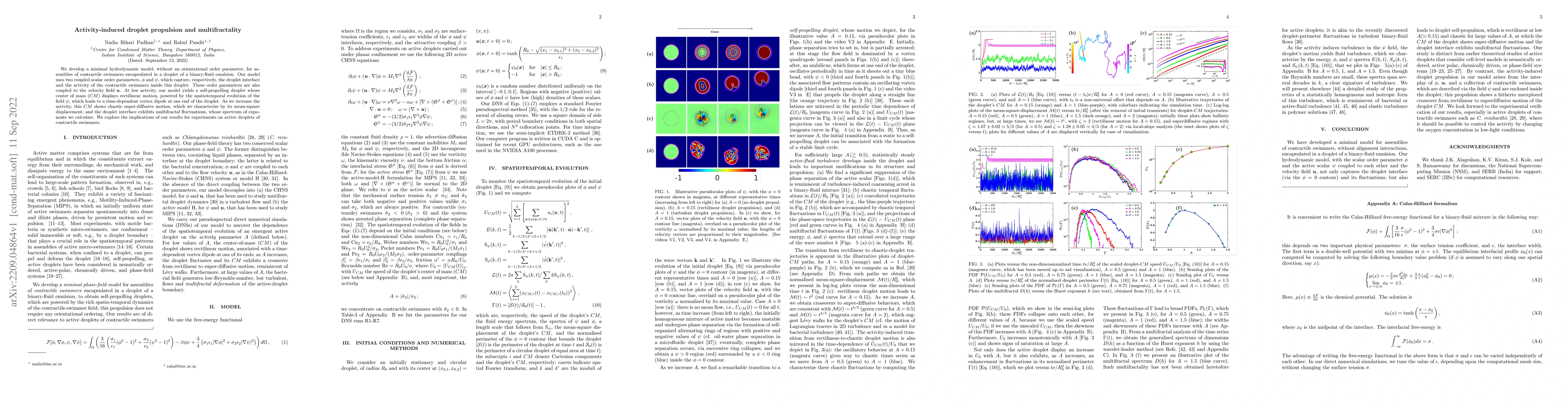 Thumbnail for Activity-induced droplet propulsion and multifractality