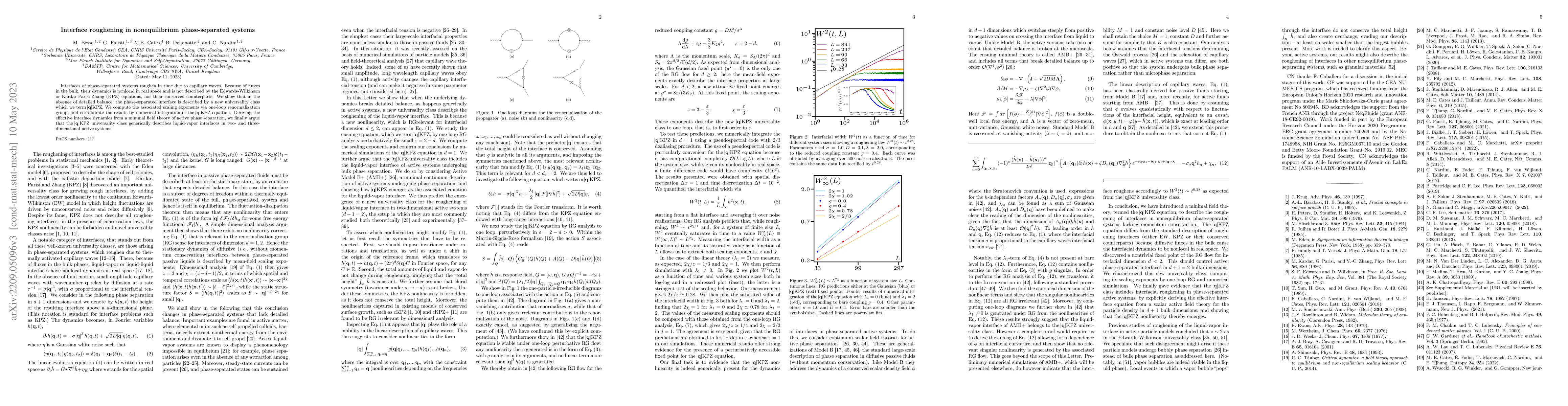 Thumbnail for Interface roughening in nonequilibrium phase-separated systems