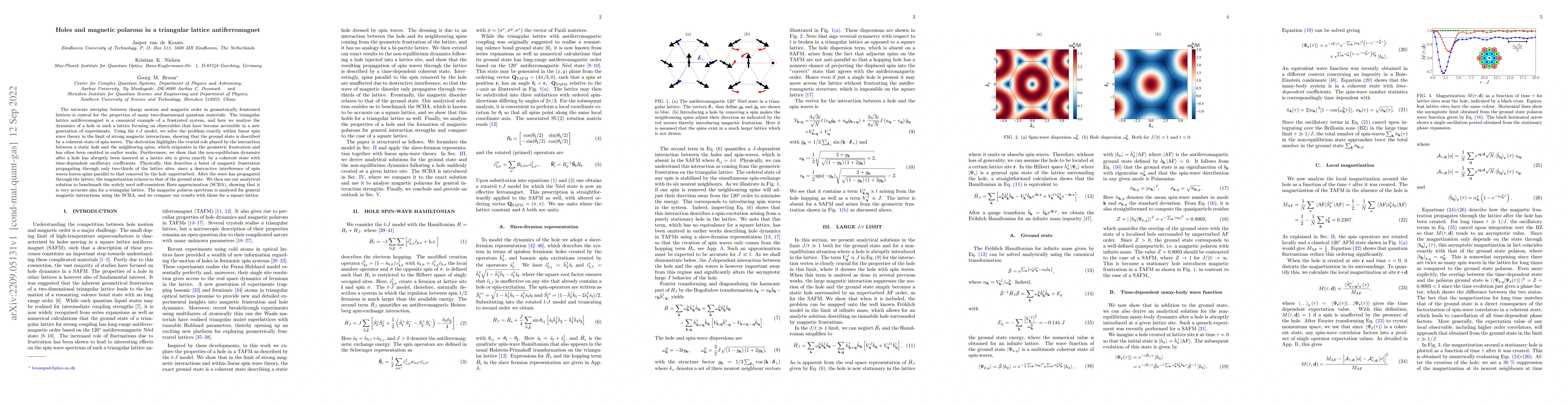 Thumbnail for Holes and magnetic polarons in a triangular lattice antiferromagnet