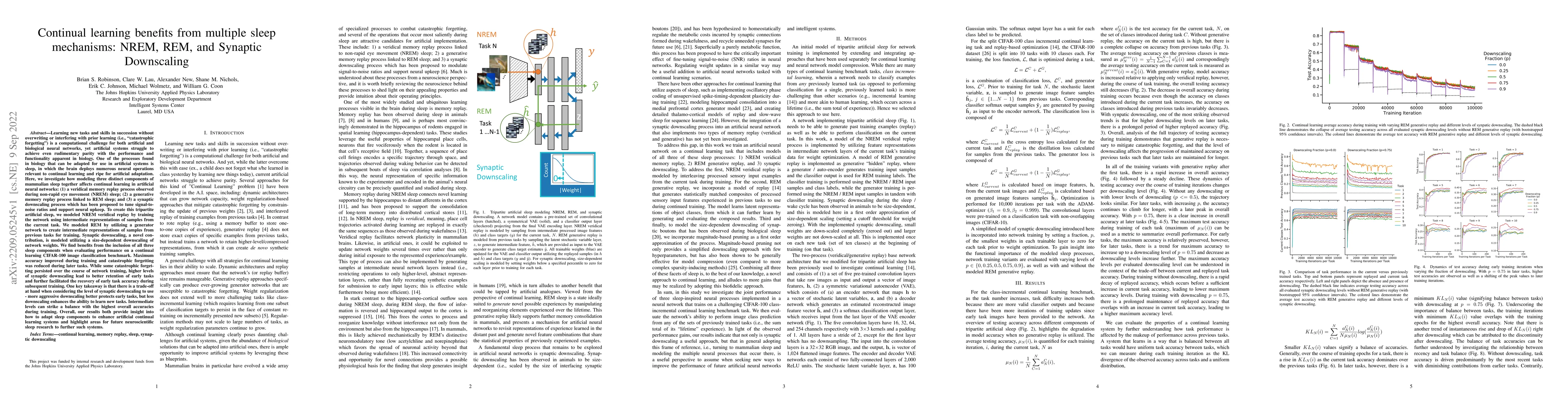 Thumbnail for Continual learning benefits from multiple sleep mechanisms: NREM, REM,
  and Synaptic Downscaling