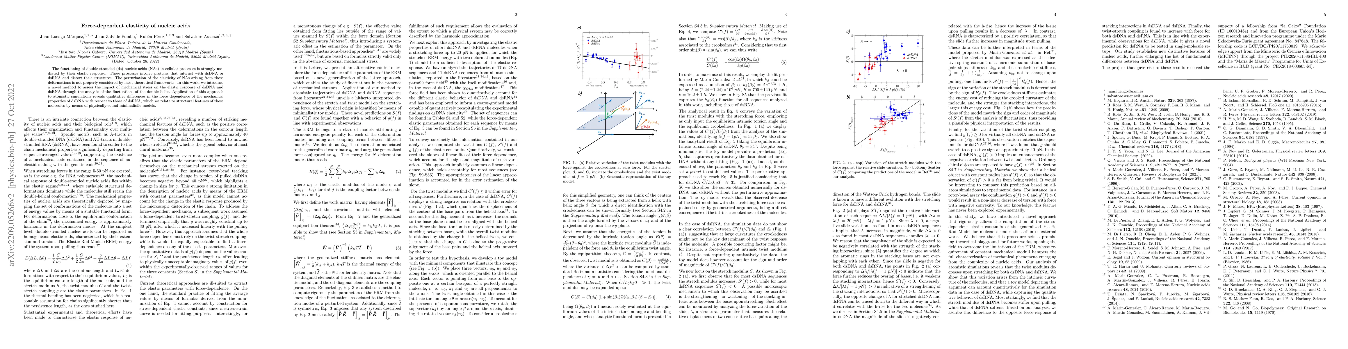 Thumbnail for Force-dependent elasticity of nucleic acids