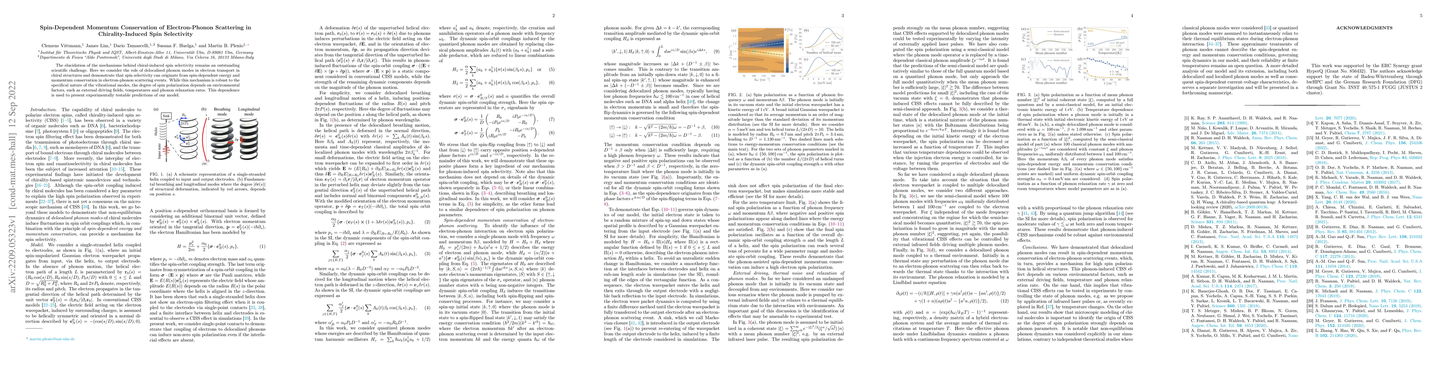 Thumbnail for Spin-Dependent Momentum Conservation of Electron-Phonon Scattering in
  Chirality-Induced Spin Selectivity
