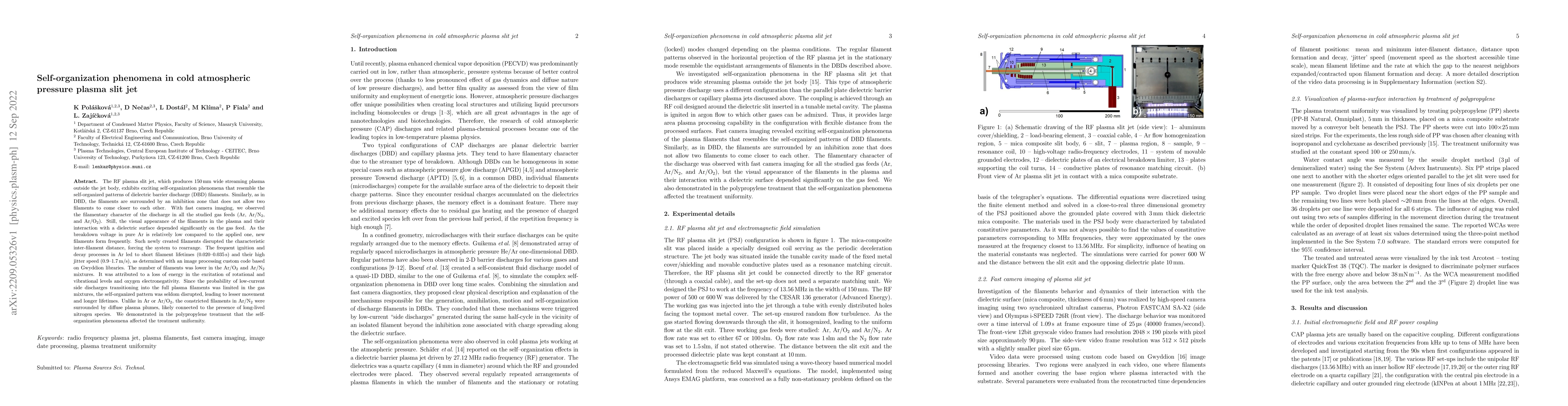 Thumbnail for Self-organization phenomena in cold atmospheric pressure plasma slit jet