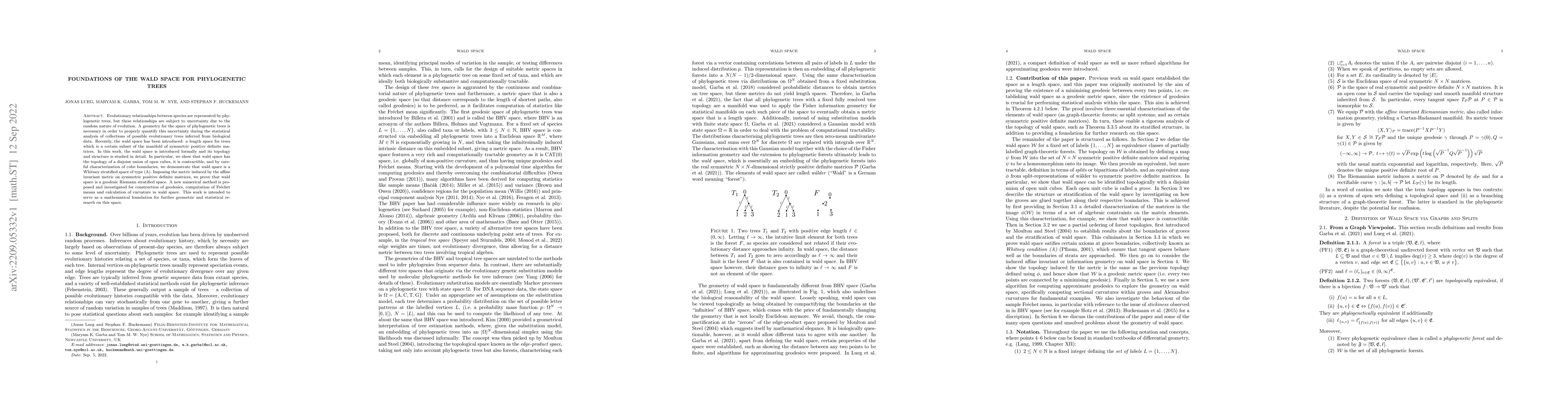 Thumbnail for Foundations of the Wald Space for Phylogenetic Trees
