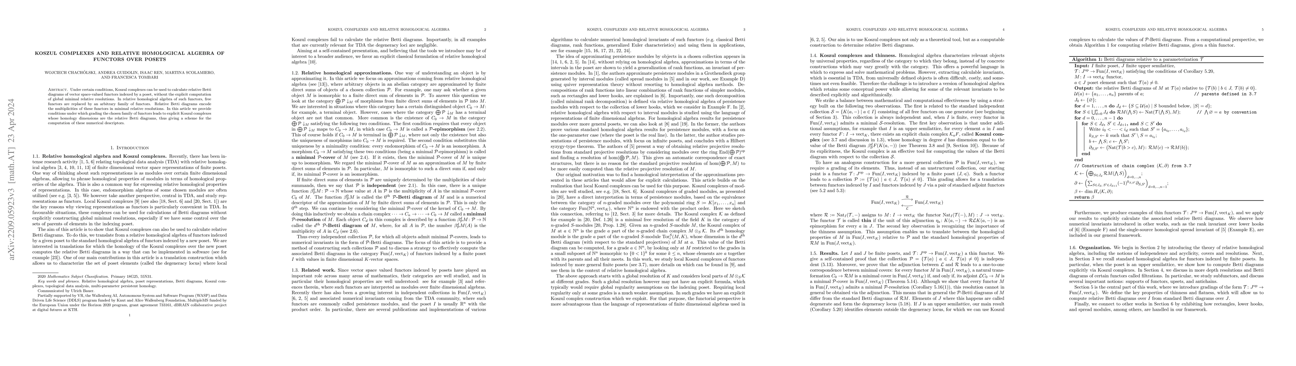 Thumbnail for Koszul complexes and relative homological algebra of functors over
  posets