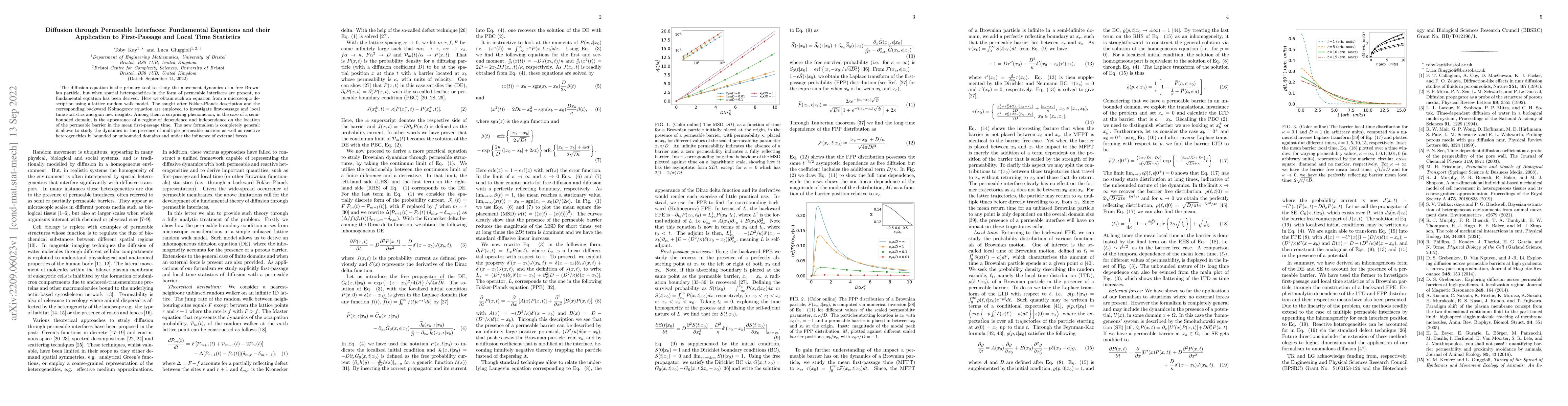 Thumbnail for Diffusion through permeable interfaces: Fundamental equations and their
  application to first-passage and local time statistics