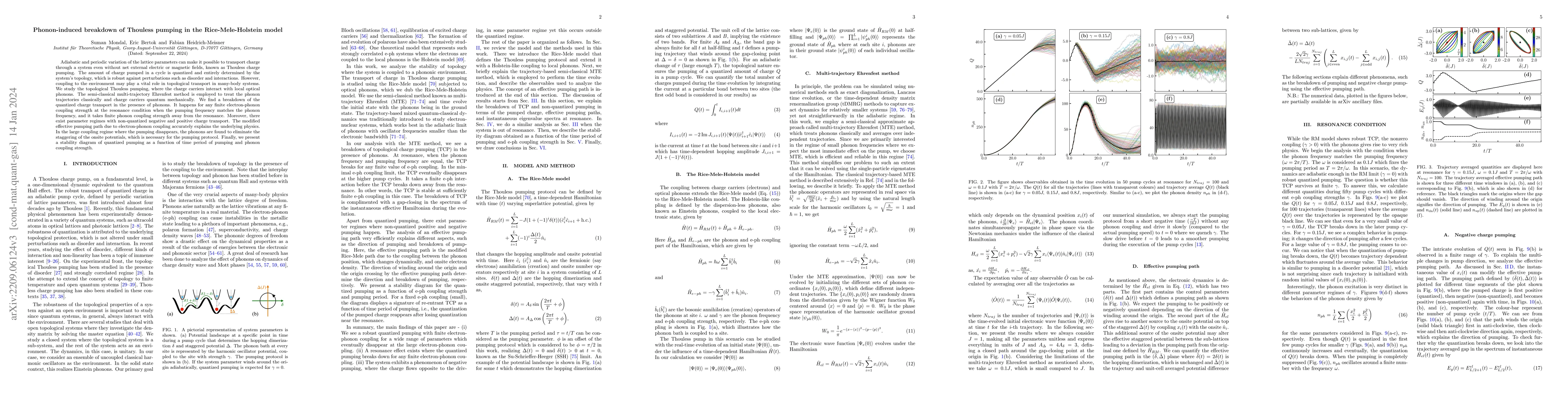 Thumbnail for Phonon-induced breakdown of Thouless pumping in the Rice-Mele-Holstein
  model