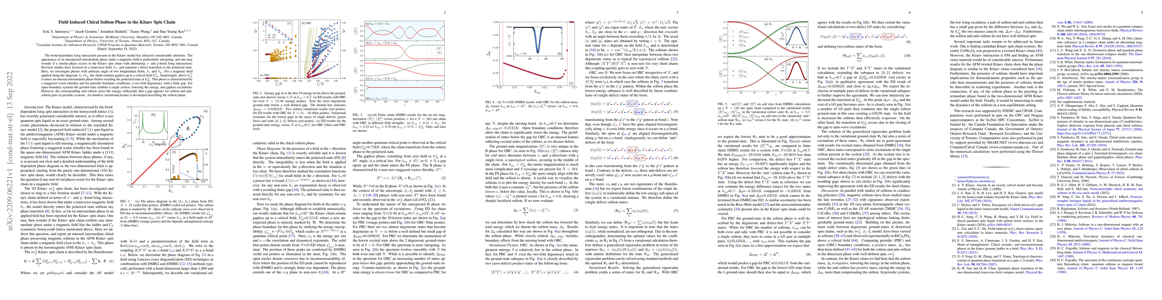 Thumbnail for Field Induced Chiral Soliton Phase in the Kitaev Spin Chain