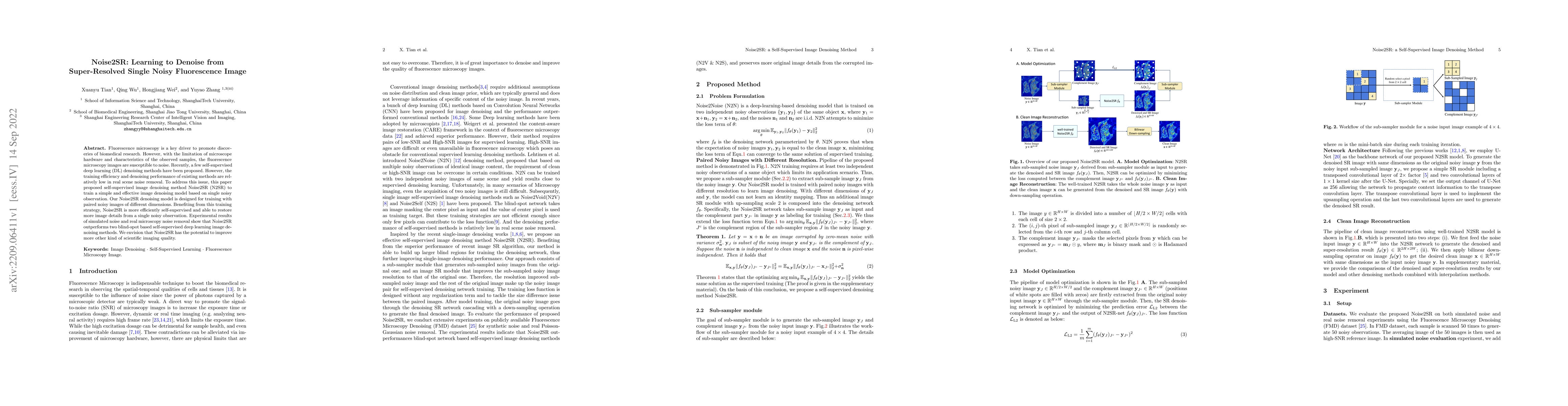 Thumbnail for Noise2SR: Learning to Denoise from Super-Resolved Single Noisy
  Fluorescence Image
