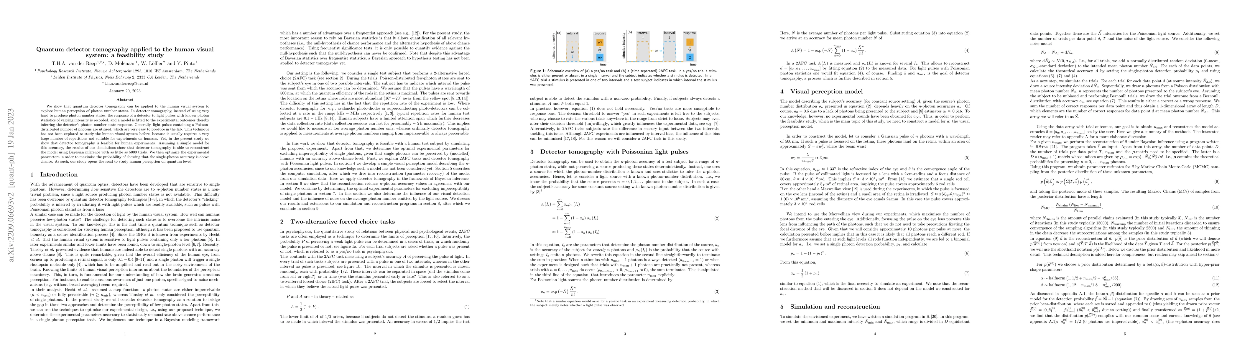Thumbnail for Quantum detector tomography applied to the human visual system: a
  feasibility study
