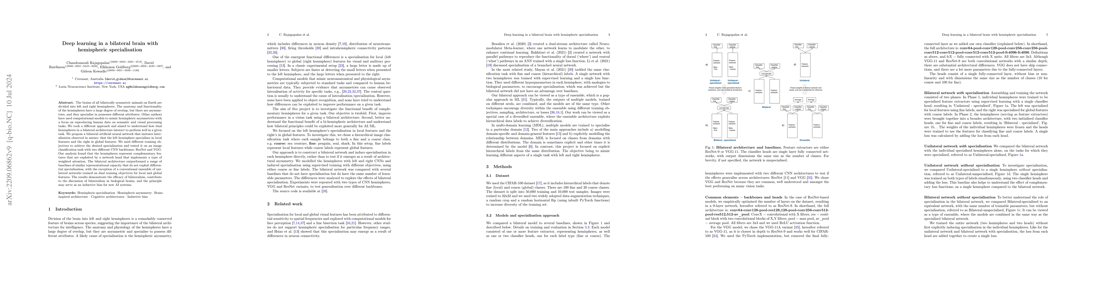 Thumbnail for Deep learning in a bilateral brain with hemispheric specialization