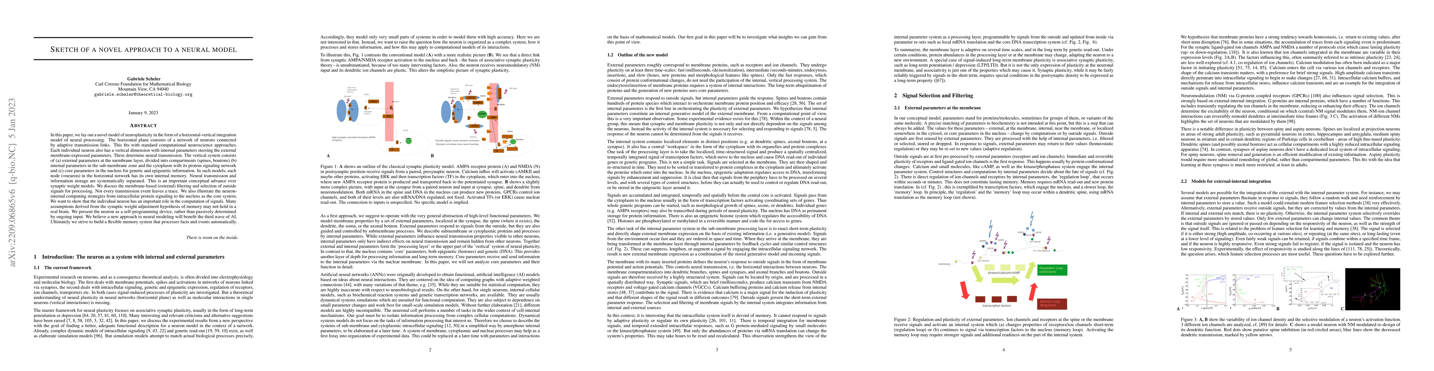 Thumbnail for Sketch of a novel approach to a neural model