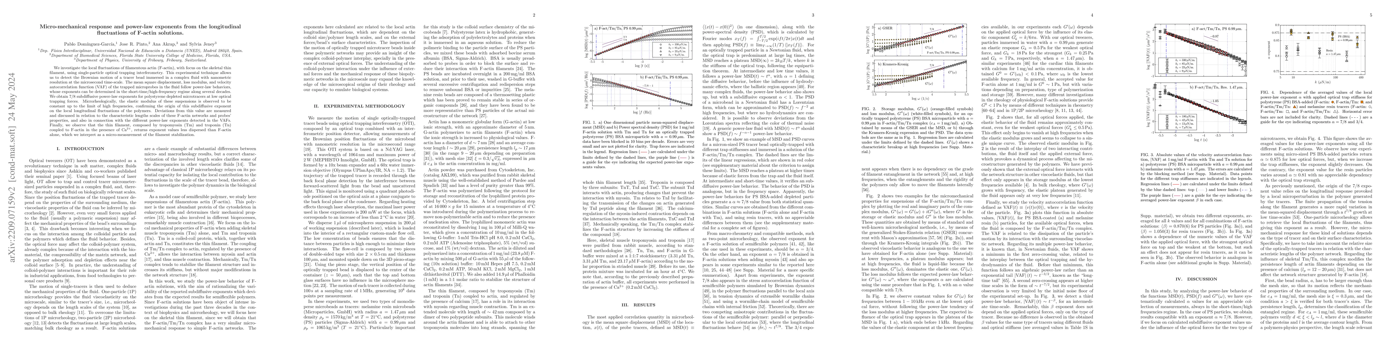 Thumbnail for Micro-mechanical response and power-law exponents from the longitudinal
  fluctuations of F-actin solutions