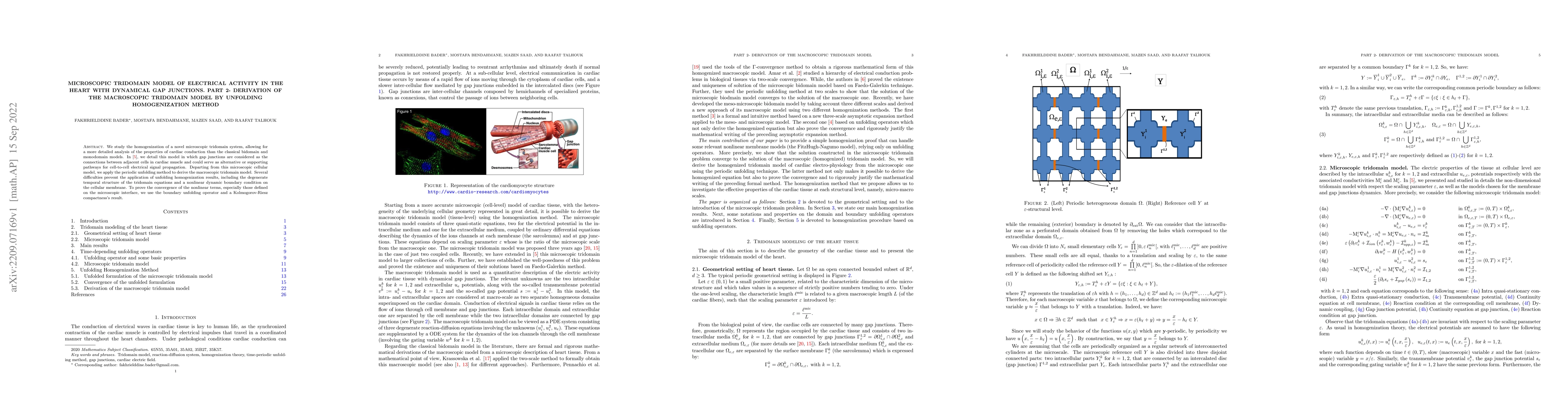 Thumbnail for Microscopic tridomain model of electrical activity in the heart with
  dynamical gap junctions. Part 2 -- Derivation of the macroscopic tridomain
  model by unfolding homogenization method