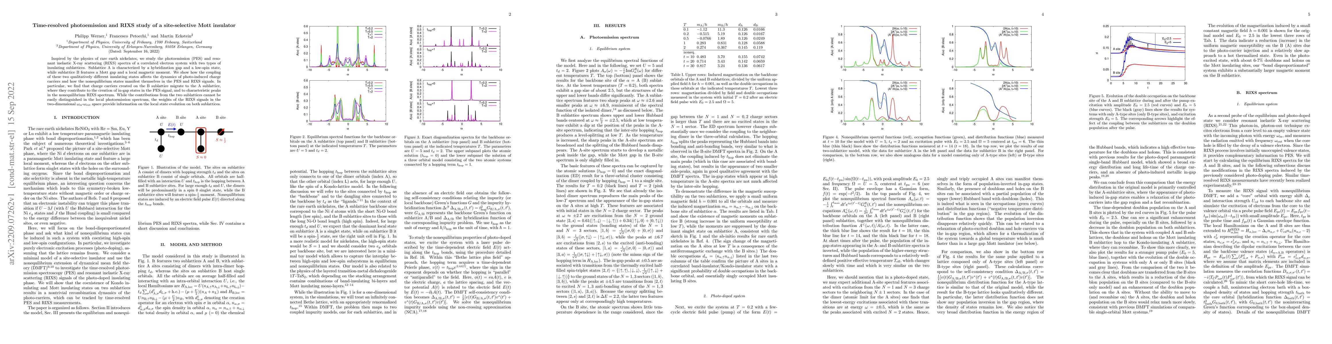 Thumbnail for Time-resolved photoemission and RIXS study of a site-selective Mott
  insulator