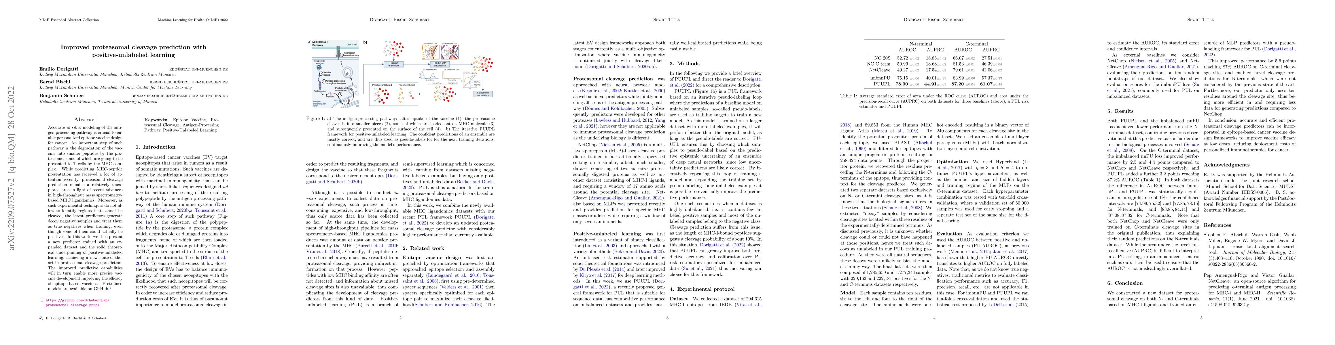 Thumbnail for Improved proteasomal cleavage prediction with positive-unlabeled
  learning