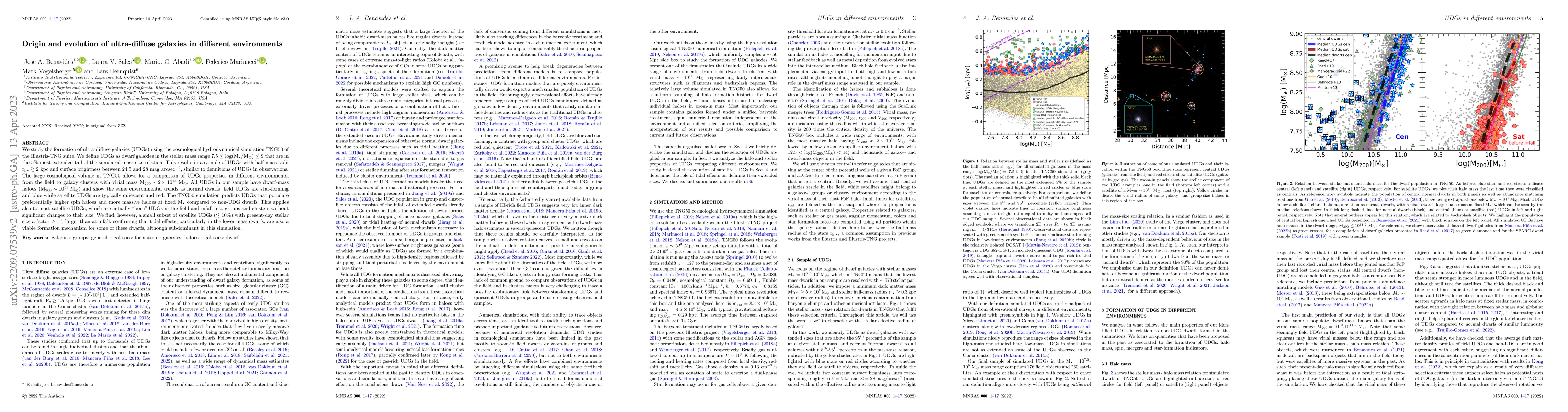 Thumbnail for Origin and evolution of ultra-diffuse galaxies in different environments