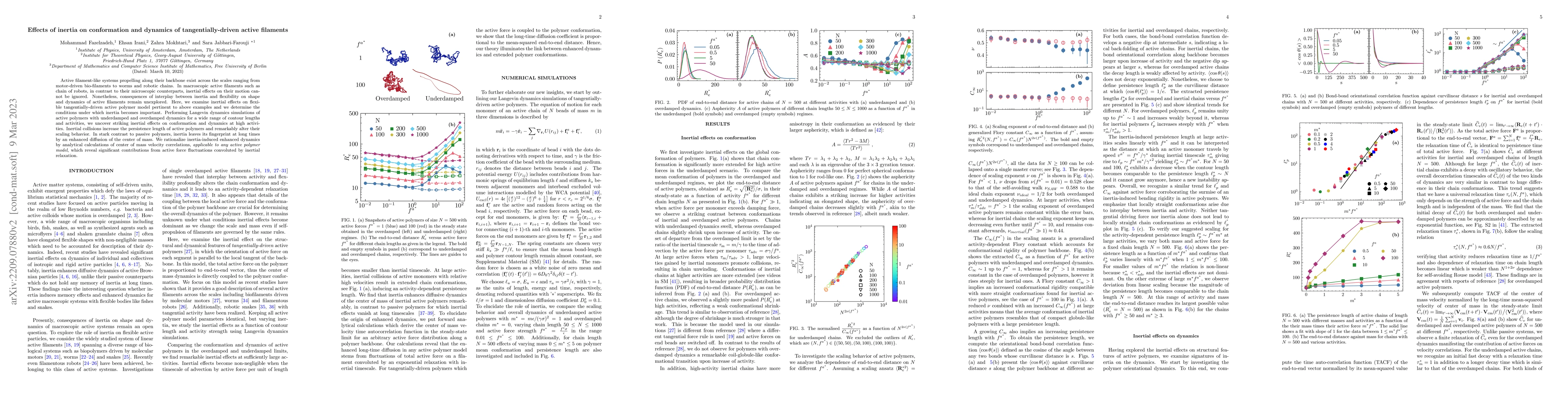 Thumbnail for Effects of inertia on conformation and dynamics of tangentially-driven
  active filaments