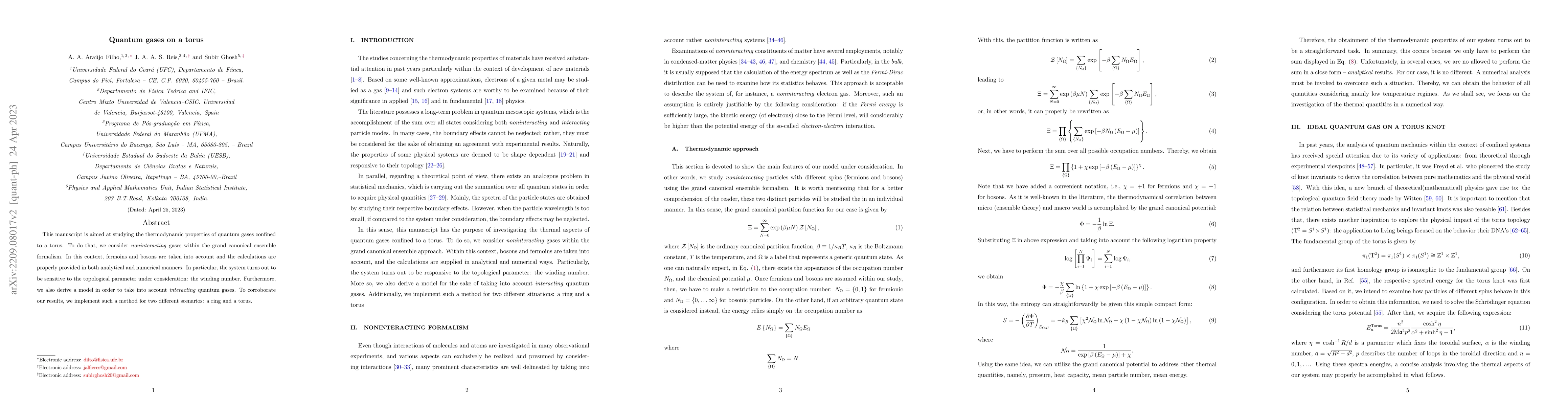 Thumbnail for Quantum gases on a torus