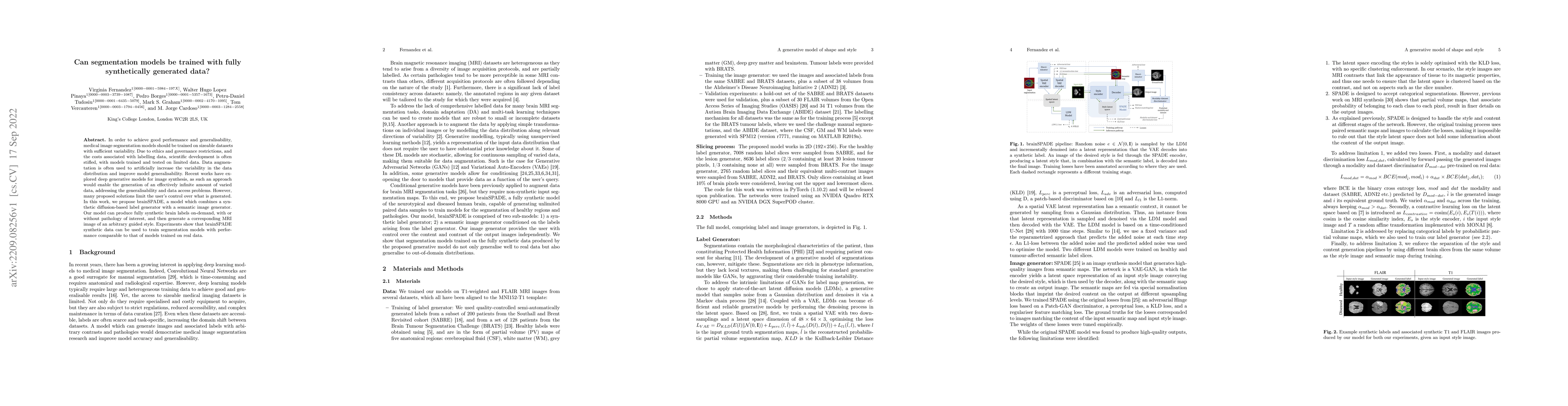 Thumbnail for Can segmentation models be trained with fully synthetically generated
  data?
