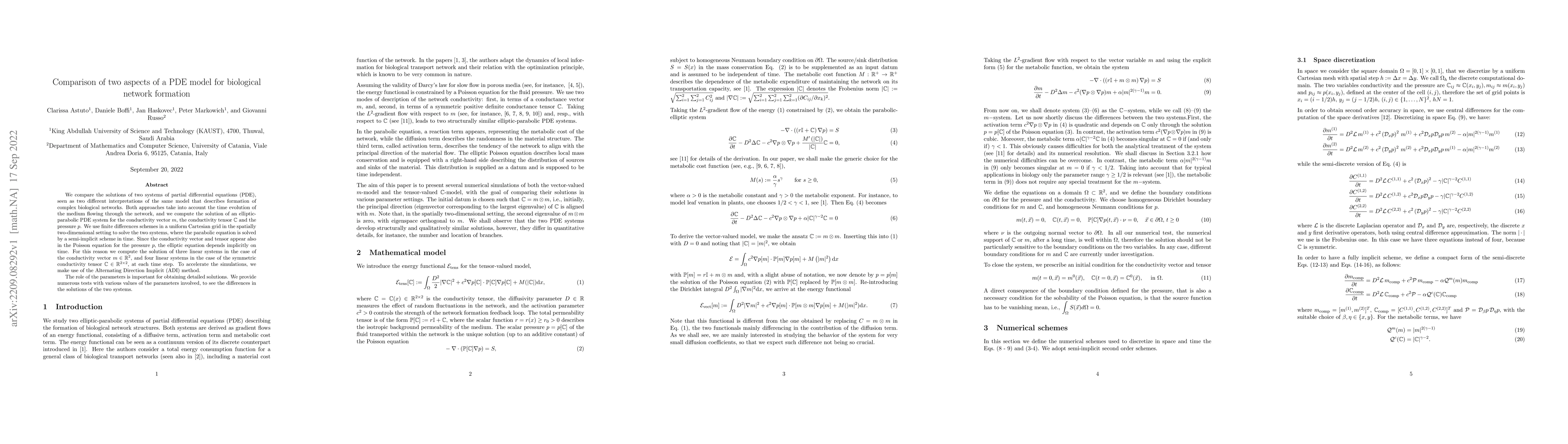 Thumbnail for Comparison of two aspects of a PDE model for biological network
  formation