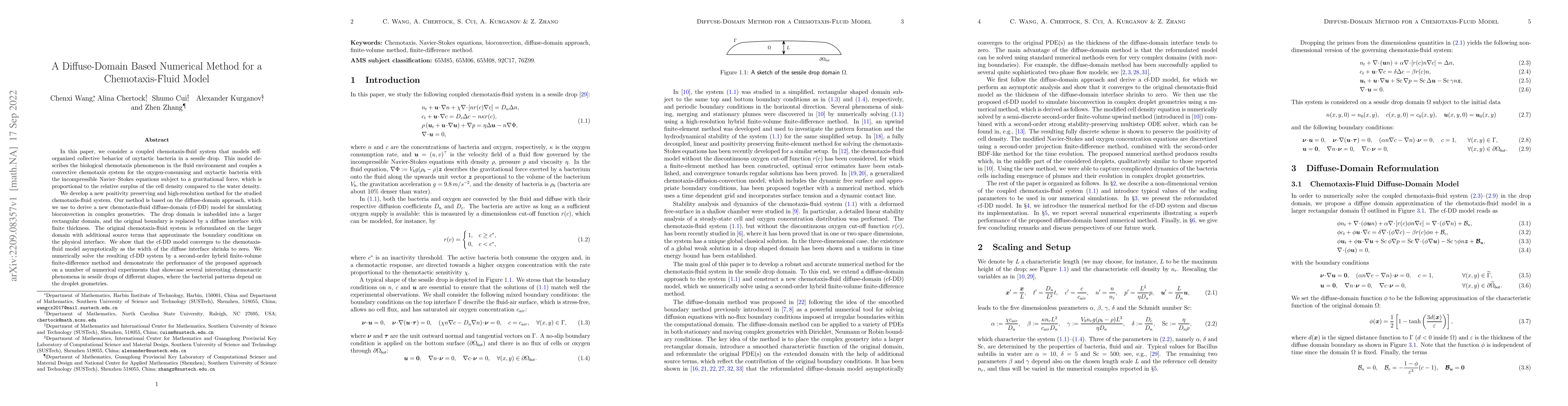 Thumbnail for A Diffuse-Domain Based Numerical Method for a Chemotaxis-Fluid Model