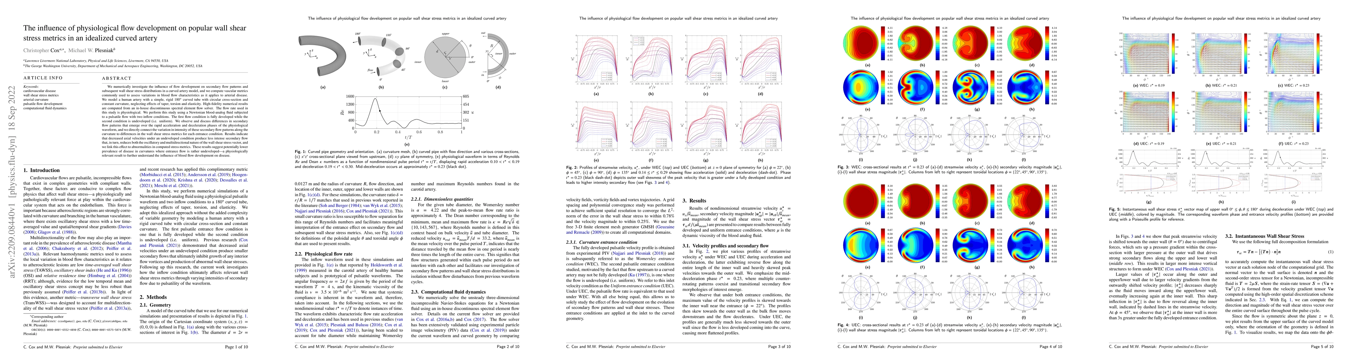 Thumbnail for The influence of physiological flow development on popular wall shear
  stress metrics in an idealized curved artery