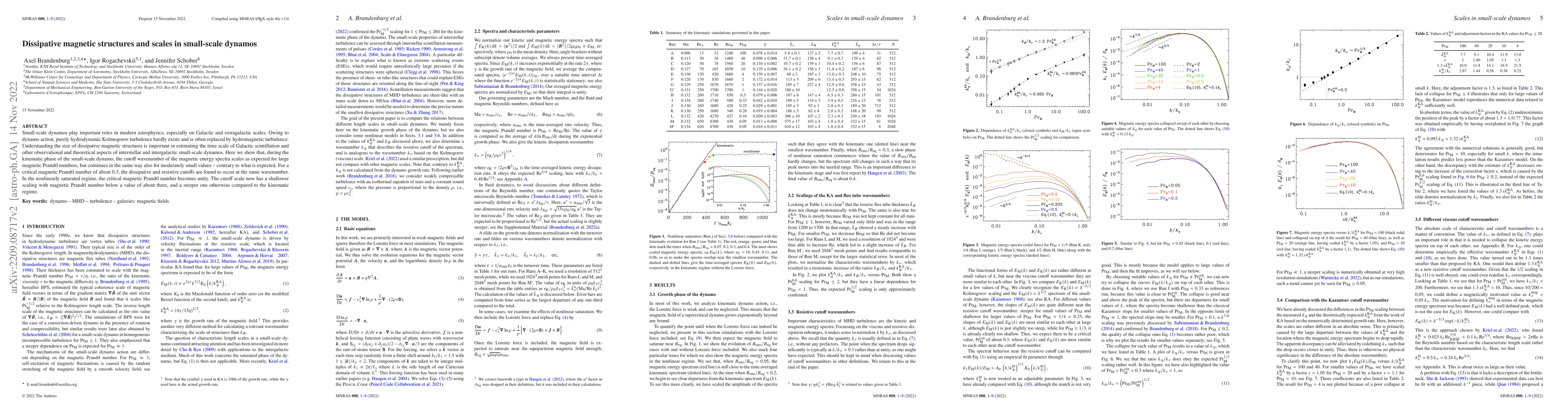 Thumbnail for Dissipative magnetic structures and scales in small-scale dynamos