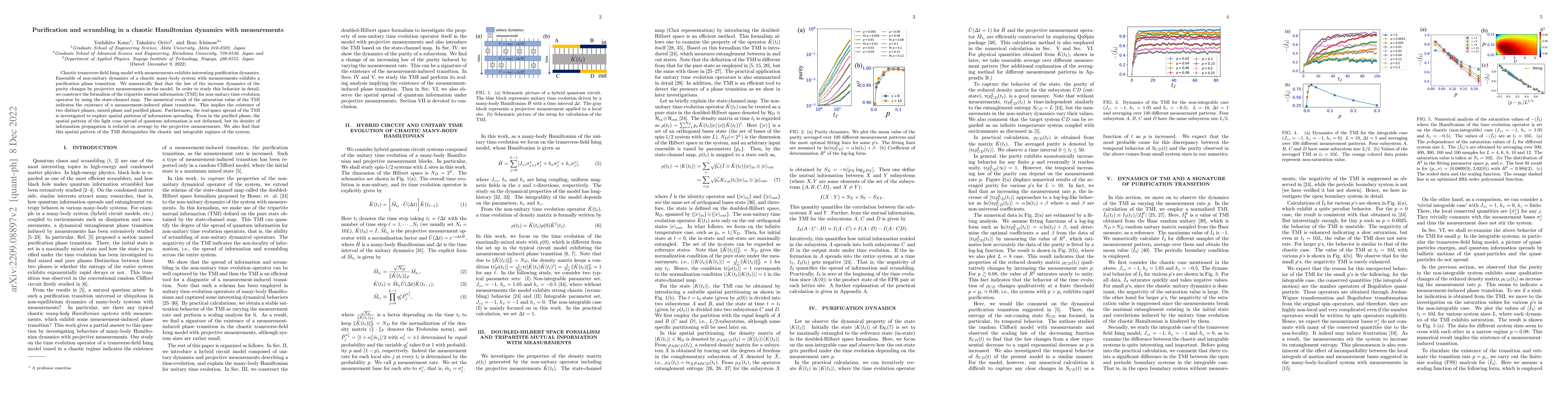 Thumbnail for Purification and scrambling in a chaotic Hamiltonian dynamics with
  measurements