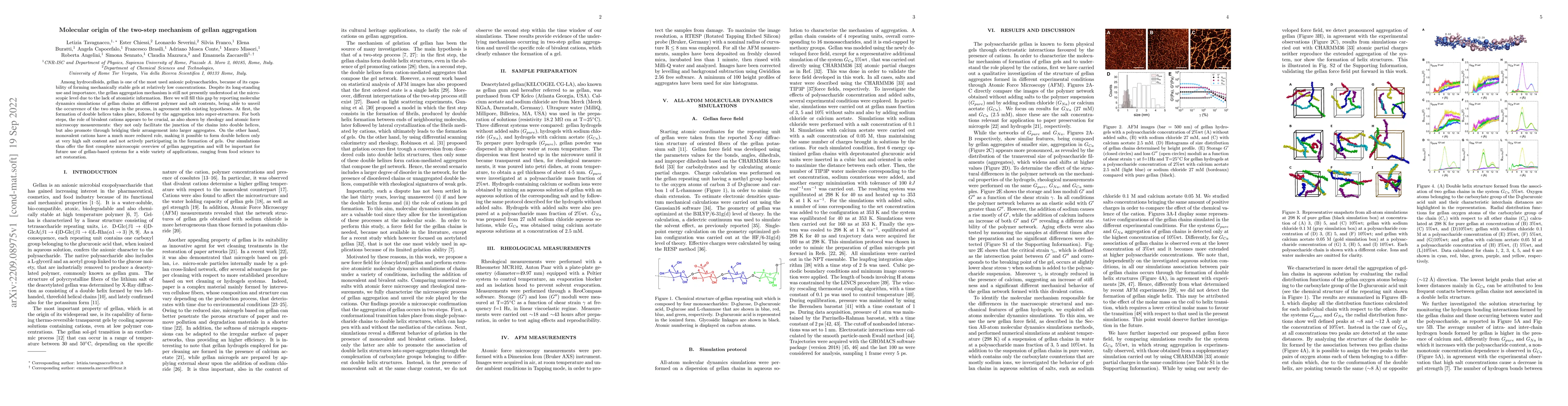 Thumbnail for Molecular origin of the two-step mechanism of gellan aggregation