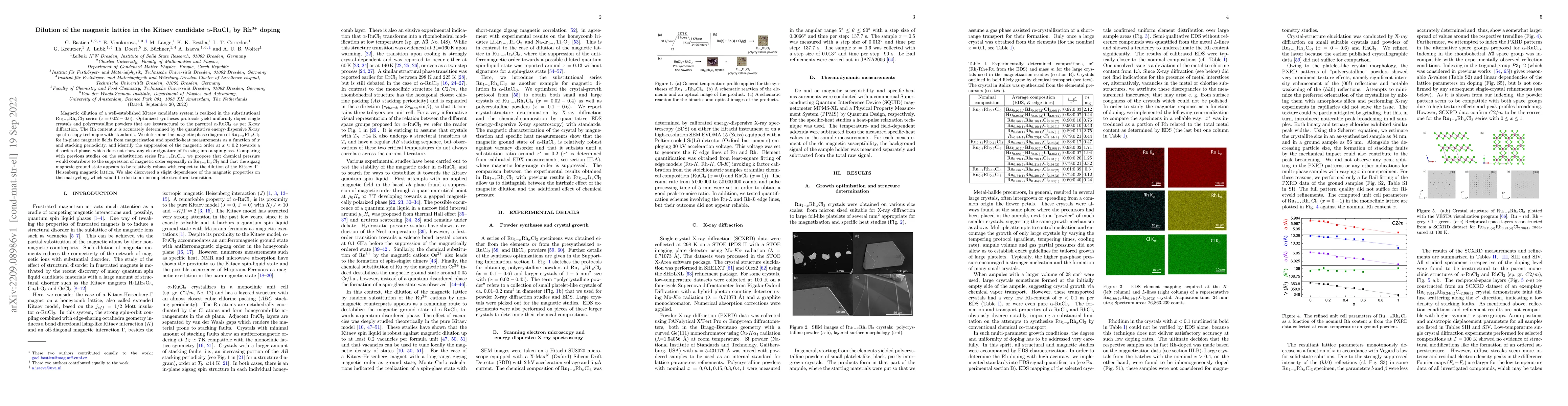 Thumbnail for Dilution of the magnetic lattice in the Kitaev candidate
  $\alpha$-RuCl$_3$ by Rh$^{3+}$ doping