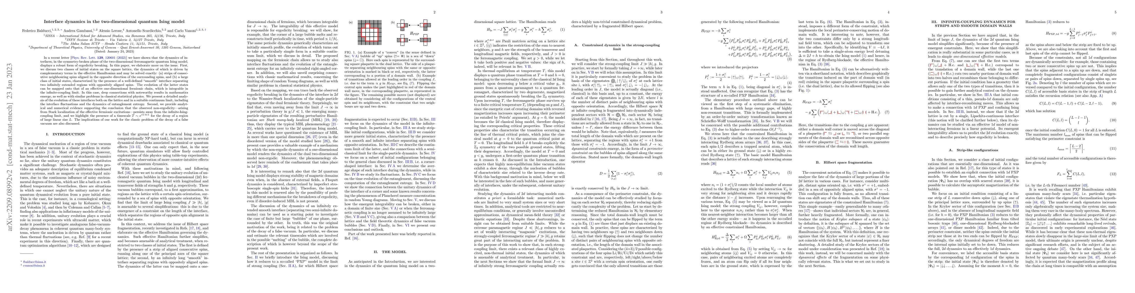 Thumbnail for Interface dynamics in the two-dimensional quantum Ising model
